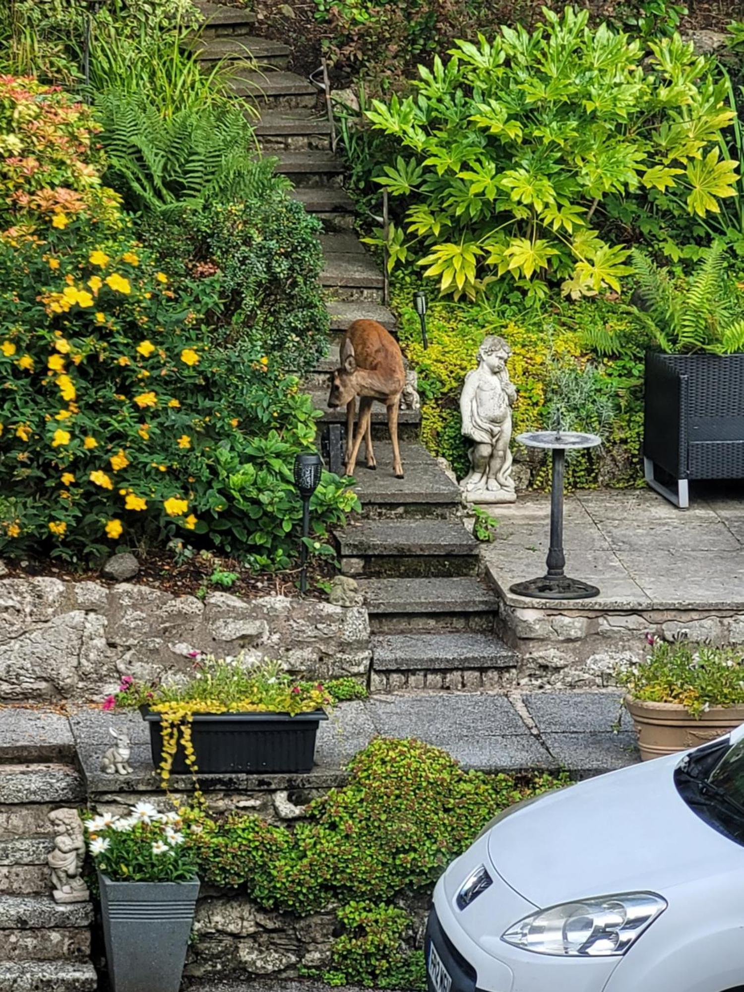 Elton Guest House Grange-over-Sands Kültér fotó